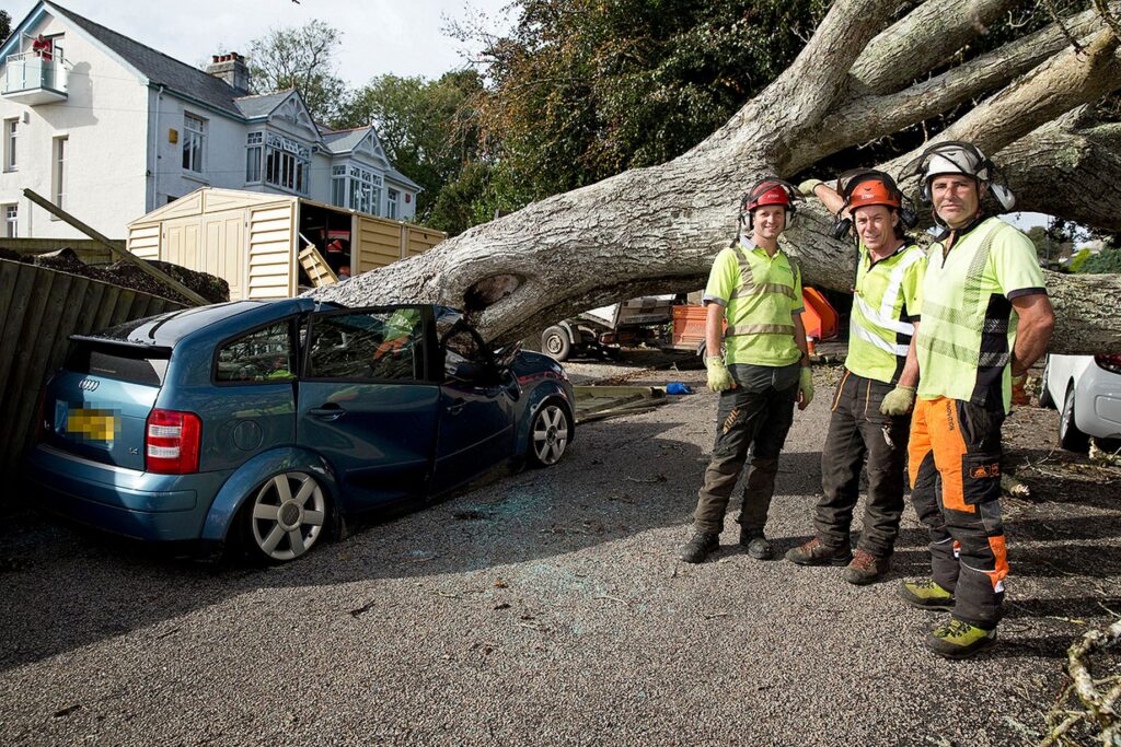 Emergency and Storm Damage Services | White Oak Tree Care