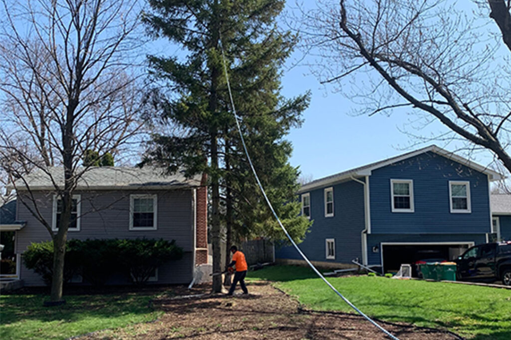 About Top Quality Tree Care | White Oak Tree Care Inc.