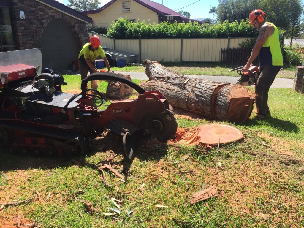 Tree Stump Removal And Grinding Process