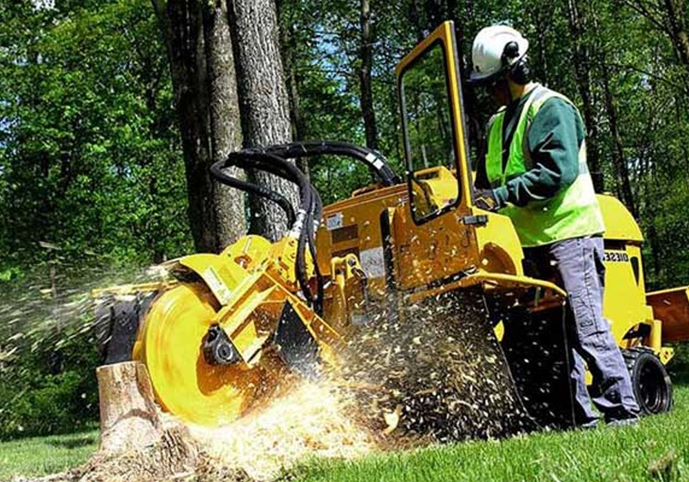 Top Stump Grinding Service Provider In Kane County, IL