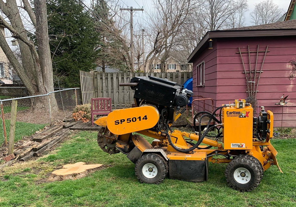 Why Should You Use Stump Grinding Services For That Obstructive Tree Stump
