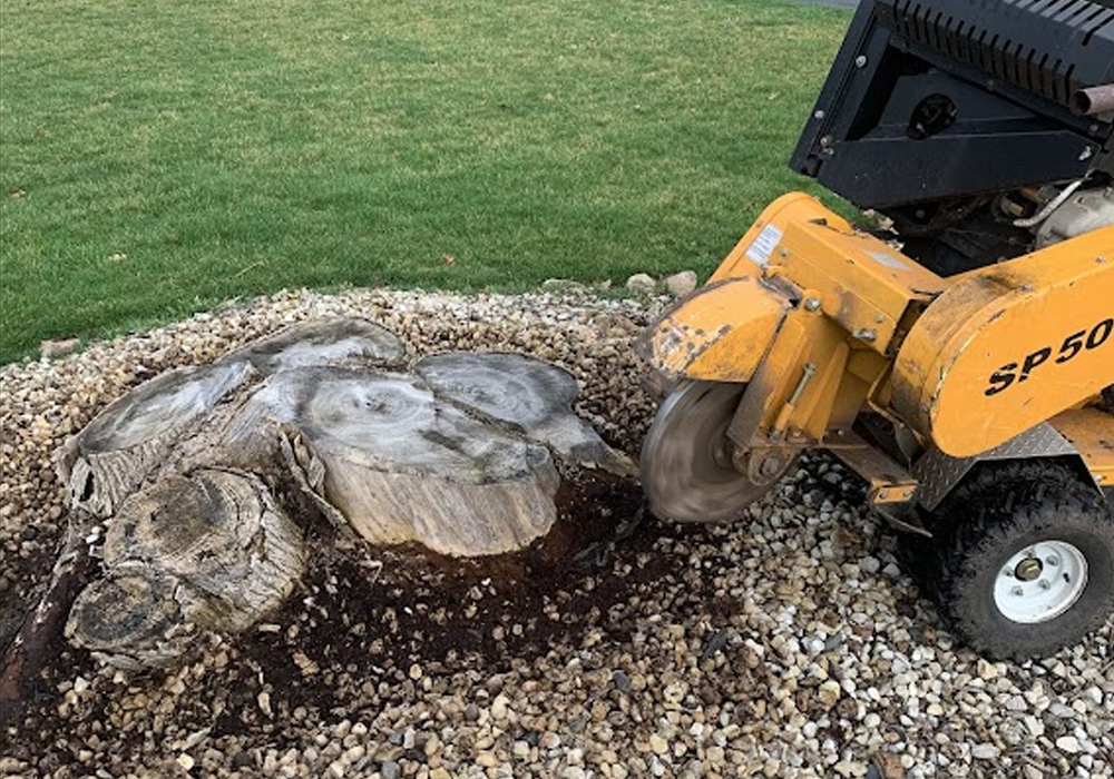 Schedule An Appointment For Stump Grinding