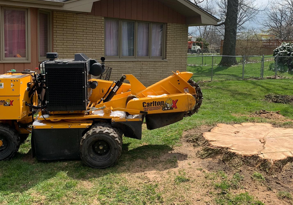Stump Grinding Services: Reasons Why You Should Get One