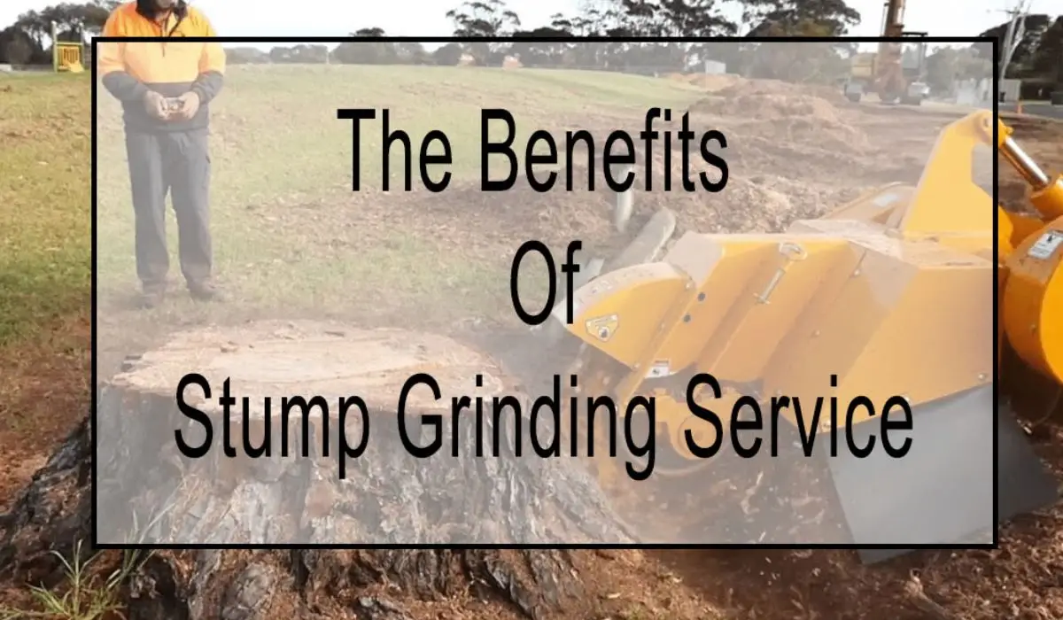 the benefits of stump grinding services