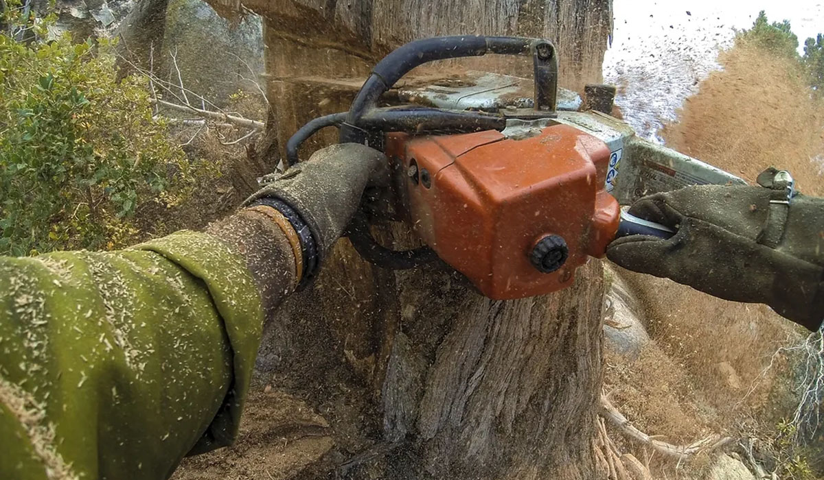 chopping a tree trunk with a chainsaw