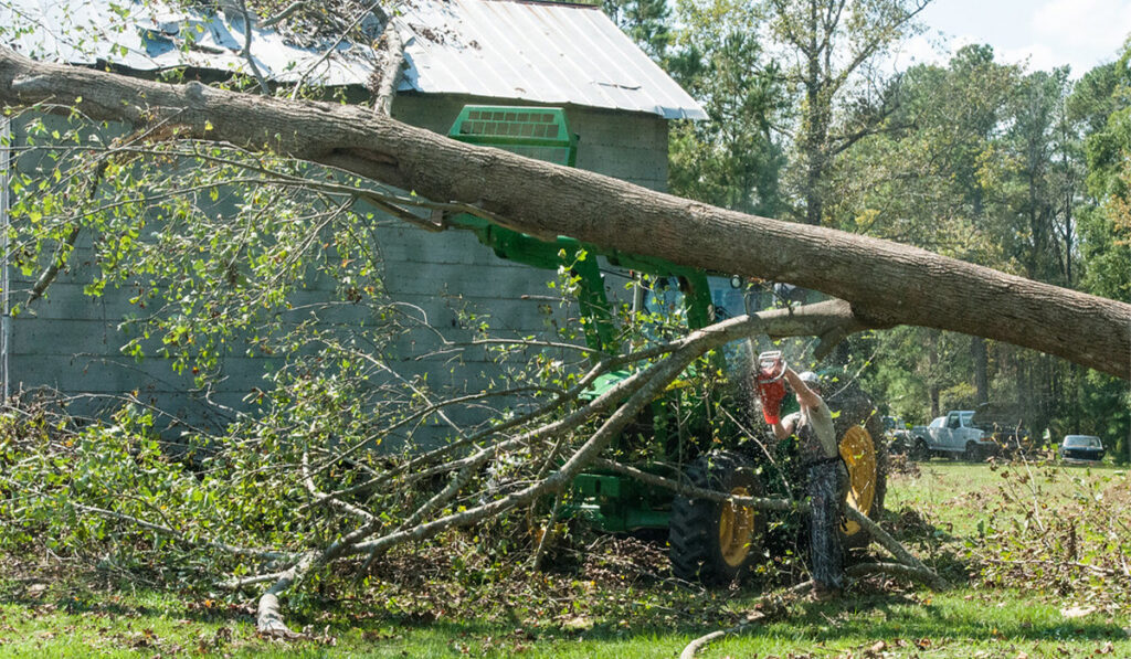 a man cutting off a large branch from a fallen tree with a chainsaw