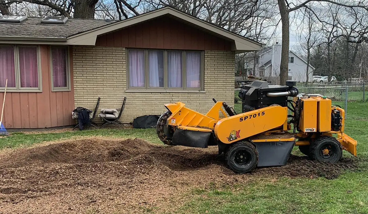 The stump grinder is removing some stumps and cleaning the yard