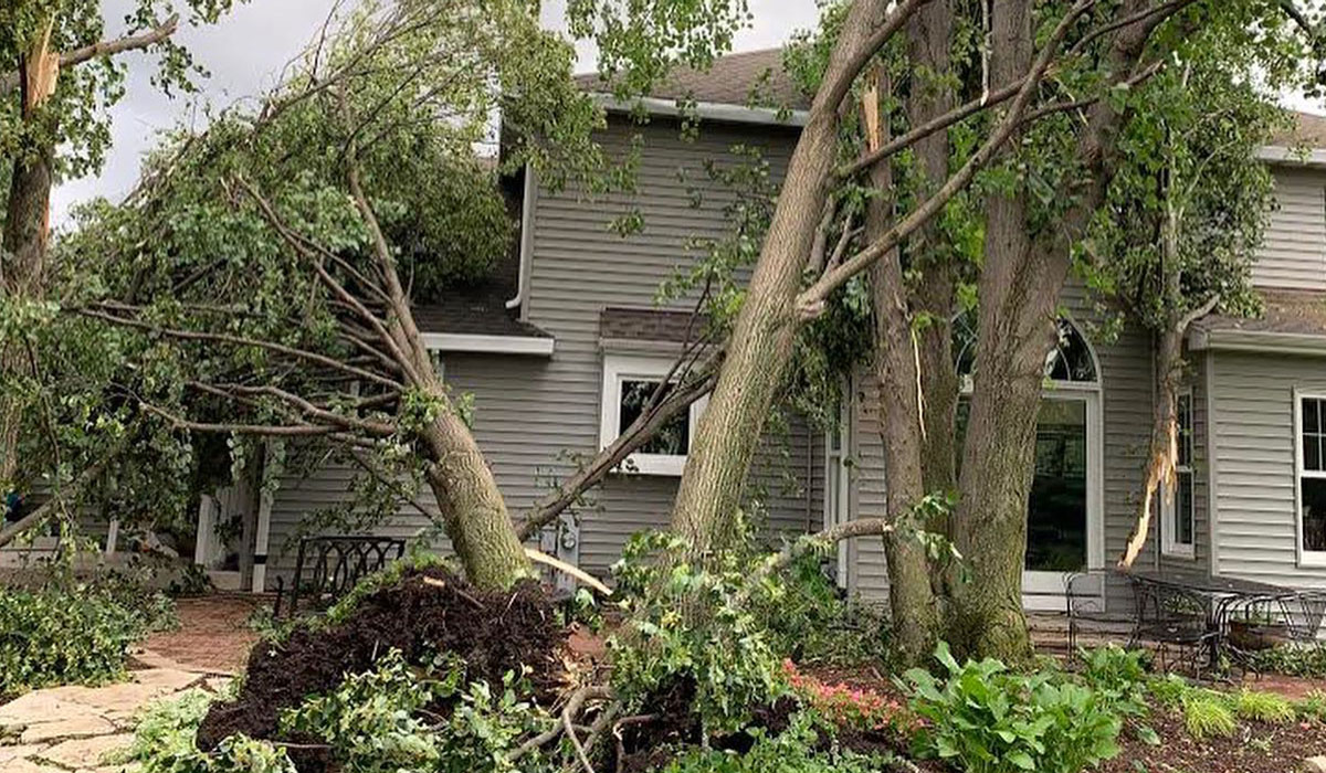 fallen tree on a two storey house