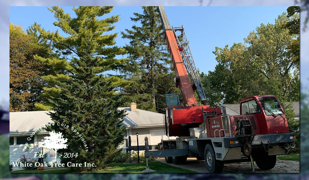 forestry bucket truck parked outside a house