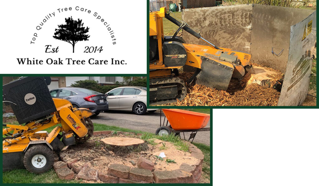 Stump grinders and tree stumps. Local stump grinding services.