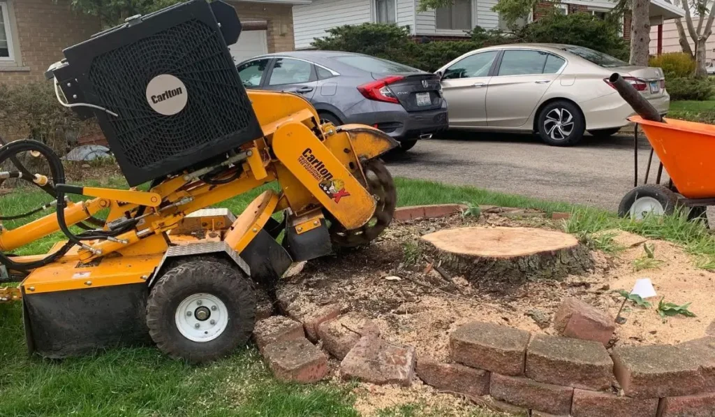 Professional tree stump grinding service using a stump grinder to remove leftover stump in residential yard.