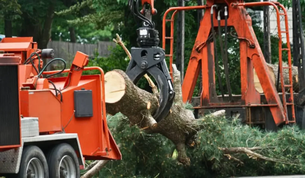 A hydraulic claw lifts a cut tree trunk into a wood chipper for processing during a tree cutting service.