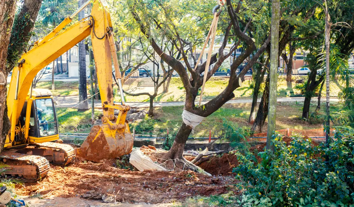 Excavator removing a tree in a city zone with proper tree removal permits and protective equipment in place.