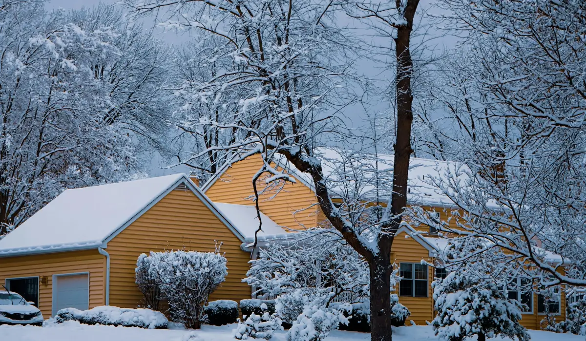 Tree branches heavily covered in snow showing ice storm recovery risks near a residential suburban family home.