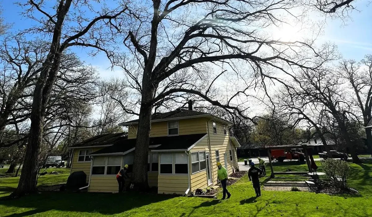 Certified arborists assessing a large tree too close to a yellow house for safety and foundation risks.
